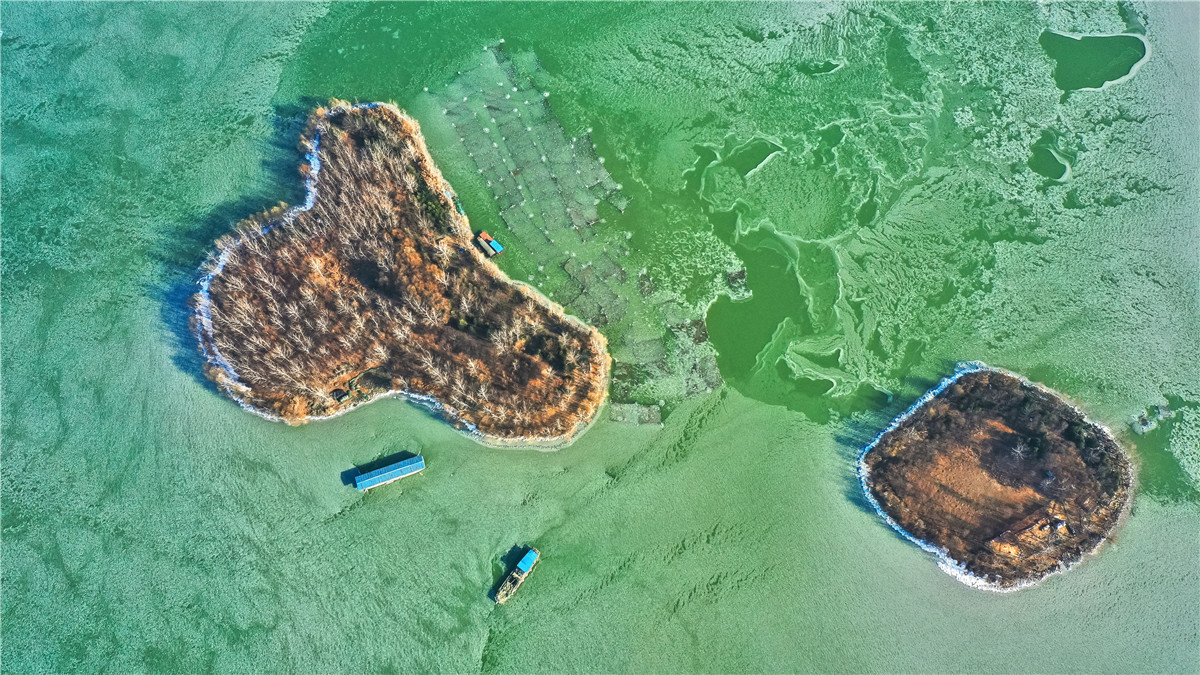 2021年1月14日，持续低温让江苏宿迁骆马湖出现少有的冰封现象。清澈的湖水结冰后在阳光的照耀下，呈现五彩斑斓之色，构成一幅美丽的冰雪画卷。