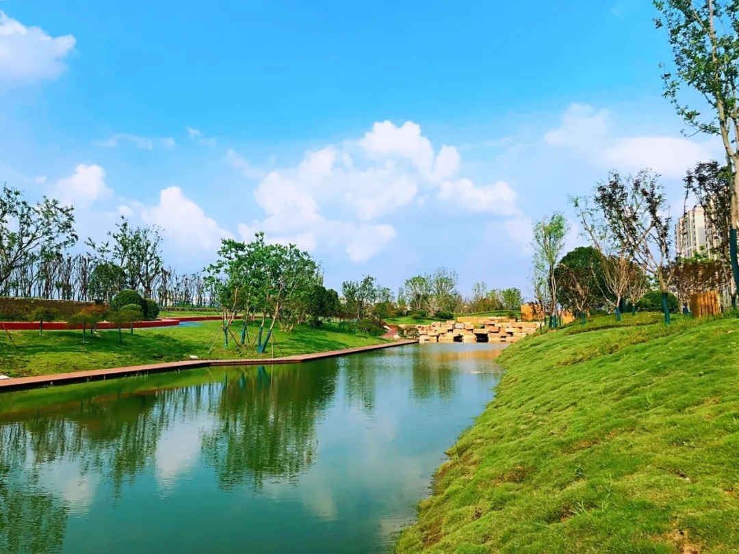 扬州还结合北城路建设，用“海绵城市”理念，打造出生态花溪广场、缤纷飘带运动园、生态家园、生态绿溪等四大特色主题滨河生态公园。