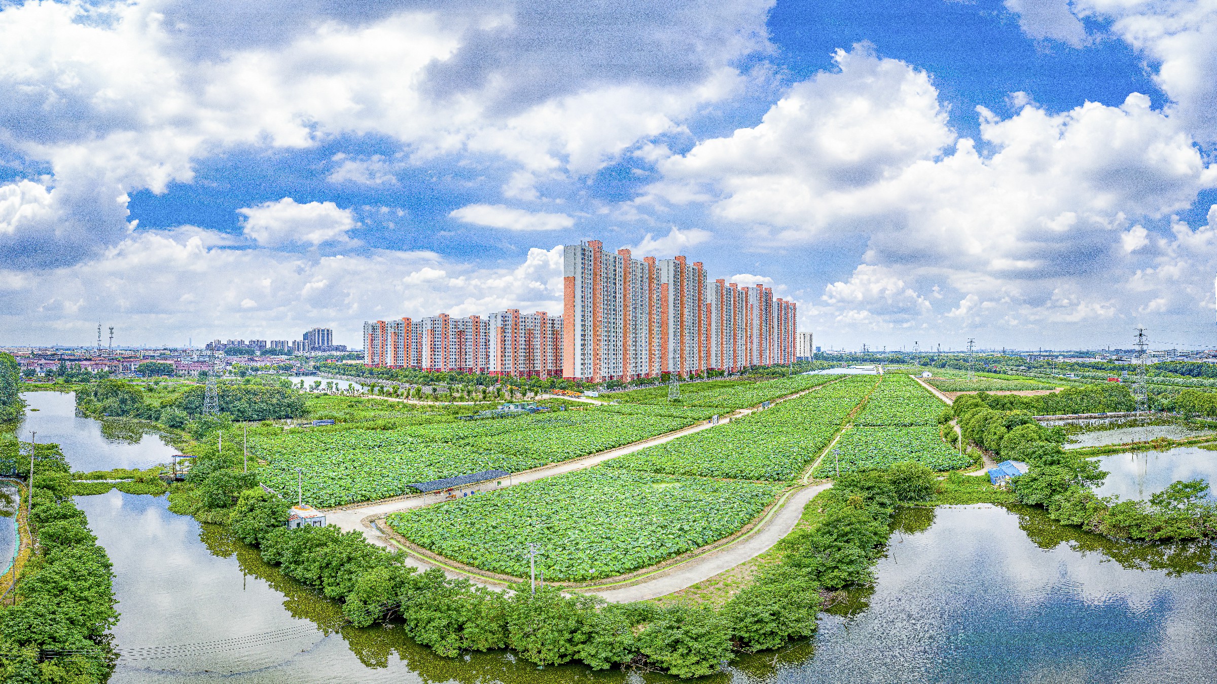 阳澄湖镇的帮扶项目太空莲基地及动迁小区，俨然一个生态家园