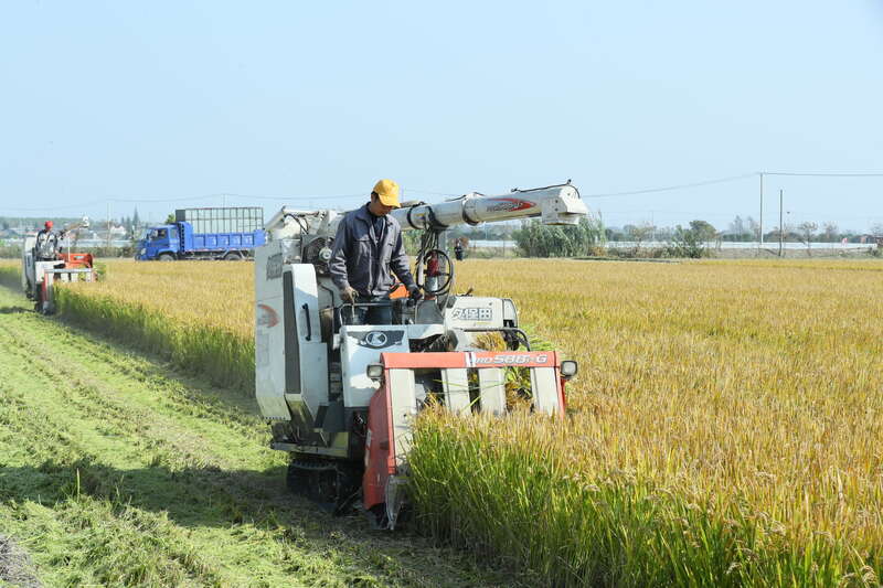 该图片由大纵湖农民王海波拍摄，图片向大家展示了现代化农业新发展。