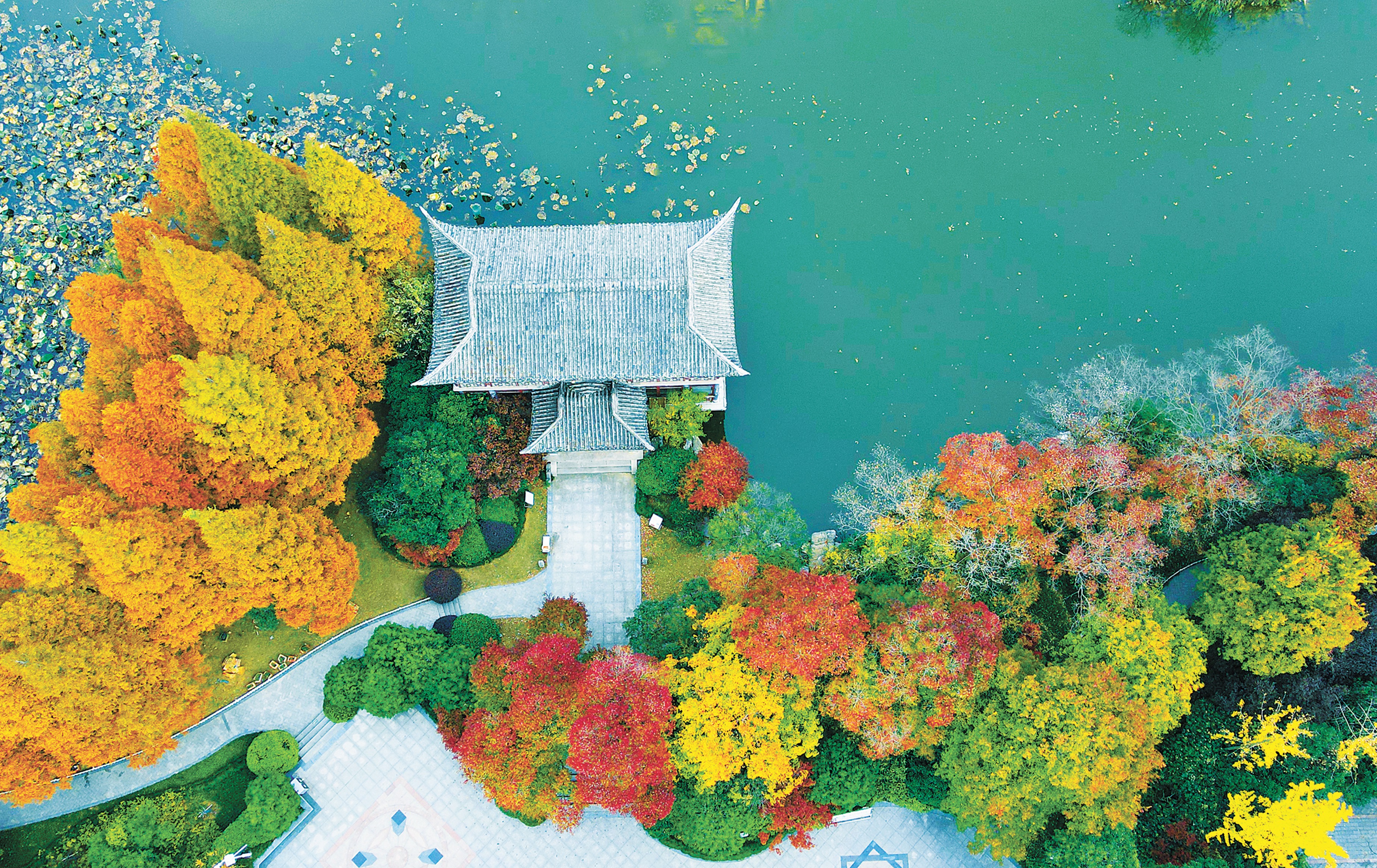 11月15日，初冬时节，徐州市区各公园景点层林尽染、色彩斑斓，景色如画、美不胜收，吸引了许多游客前来观赏。