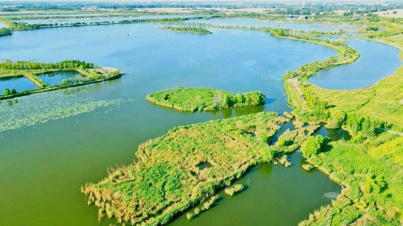 安国湖国家湿地公园水面上的数十座小岛成为野鸟栖息的理想之处
